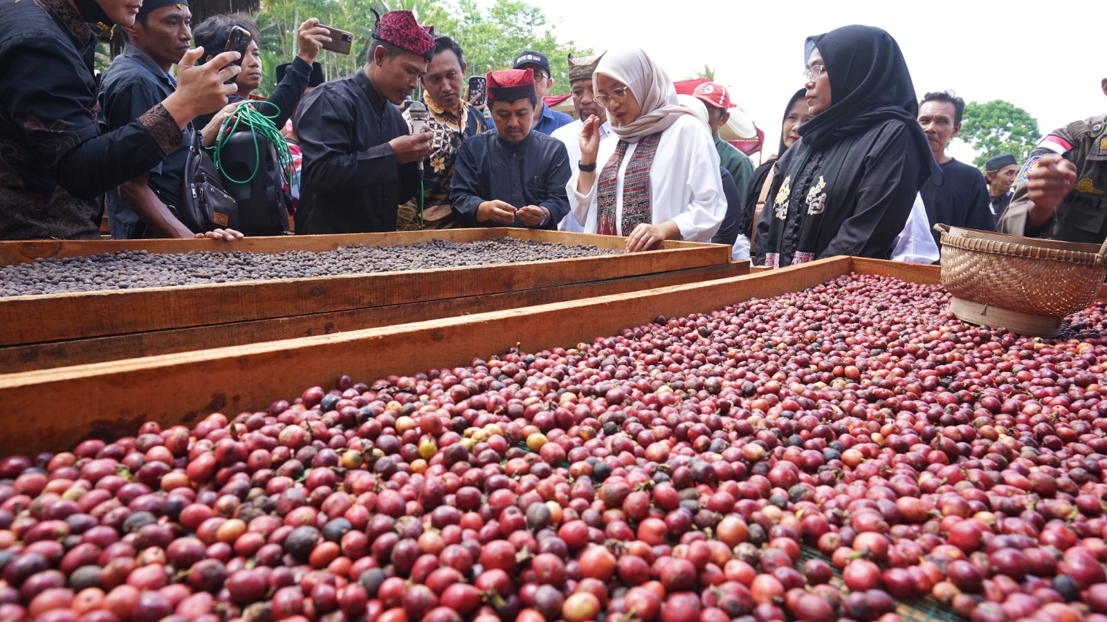 Kopi Robusta Banyuwangi Diverikasi Kemenkumham untuk Peroleh Indikasi Geografis  