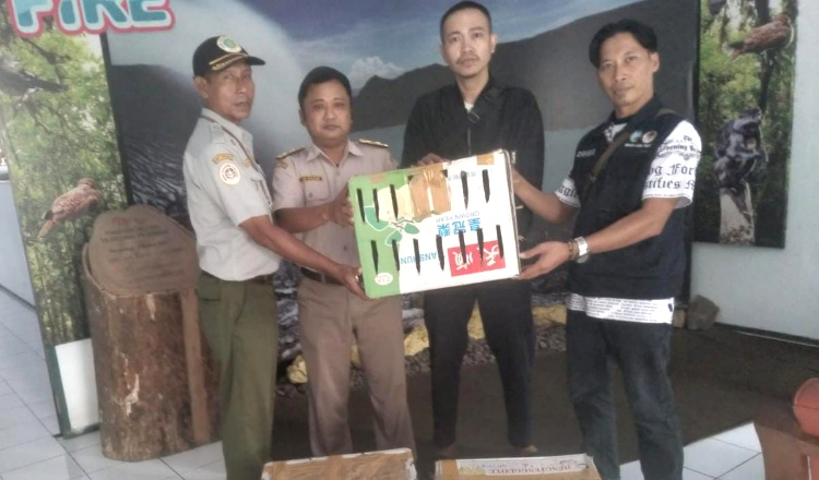 Ratusan Burung Eksotis Tanpa Dokumen Gagal Diselundupkan ke Bali