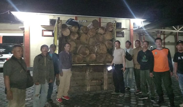 Polisi Banyuwangi Amankan 44 Batang Pohon Jati Ilegal dari Truk Tak Bertuan
