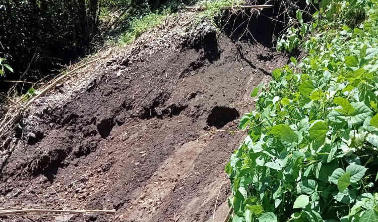 Tiga Warung di Banyuwangi Tertimbun Longsoran Tebing