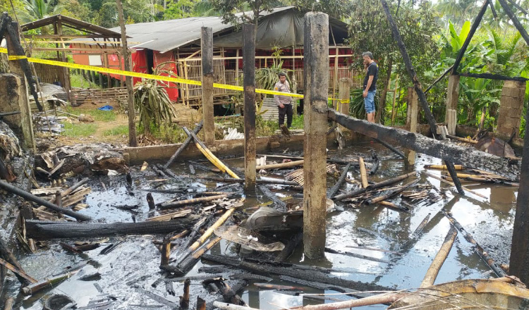 Nestapa Peternak di Sempu Banyuwangi, Ribuan Ayam Miliknya Ludes Terpanggang Api