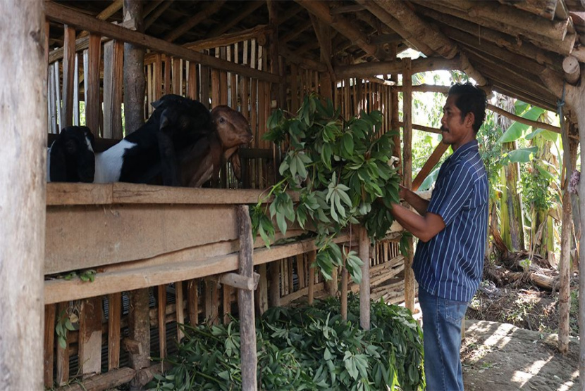 Kolaborasi Program Budidaya Binaan PT BSI Semakin Moncer