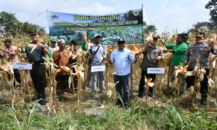 Pemkab Bondowoso Salurkan 200 Ton Pupuk NPK Gratis untuk 5.103 Petani