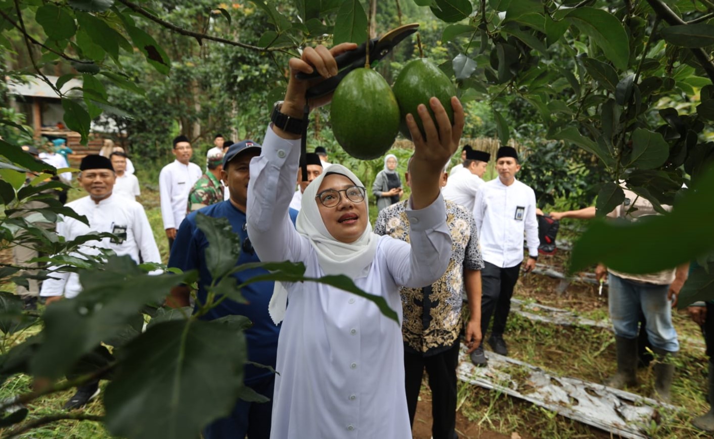 Ngantor di Desa Bumiharjo, Bupati Ipuk Gali Berbagai Potensi Pertanian